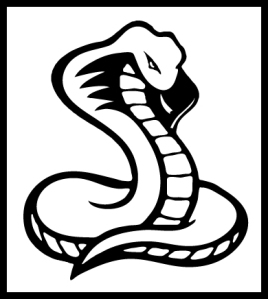 Animal - Snake - Viper