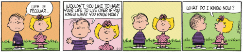 Comic - Peanuts - 2014 06 03 - What Do I Know Now